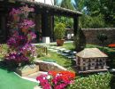 Flores jardín