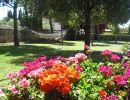 Flores en jardín