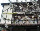 Fachada con cerezo en jardín