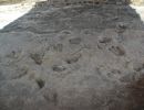 Huellas dinosaurios cerca Quintanilla de las viñas